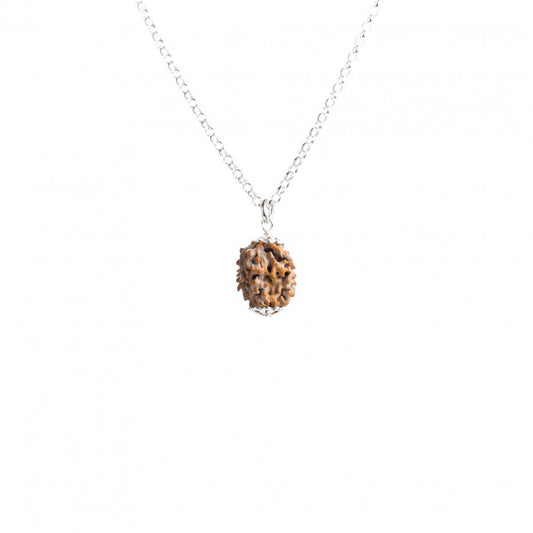 Colar Eliminação de Obstáculos - 2 MUKHIS