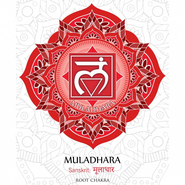 Pulseira Chakra da Base