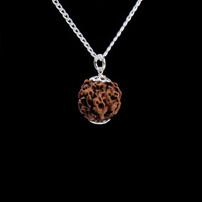 Talismã Proteção contra a negatividade e o stresse - 5 MUKHIS