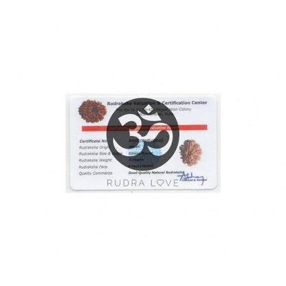 Talismã Despertar esperitual - 9 MUKHIS